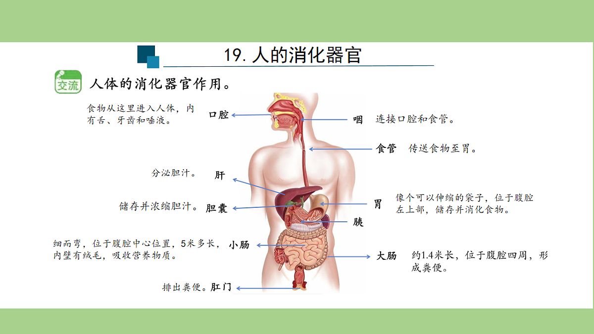 18153545第7页