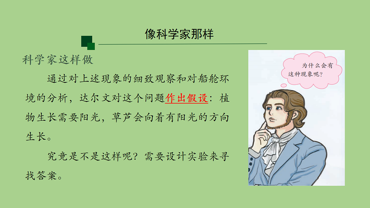 18153551第5页