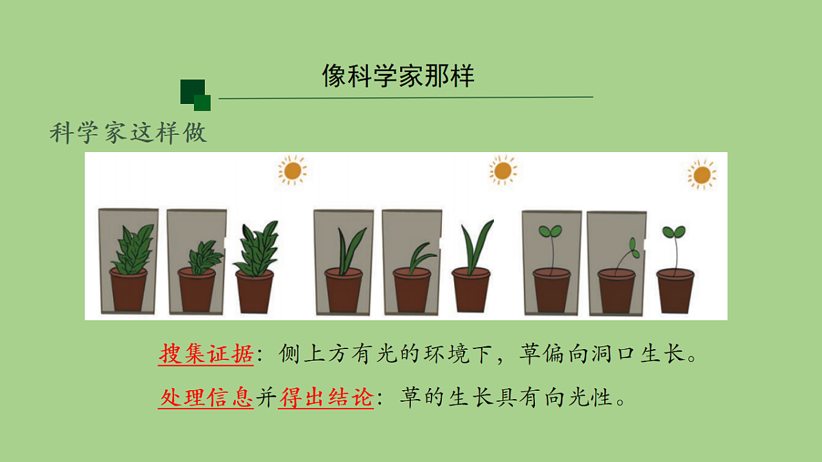 18153551第7页