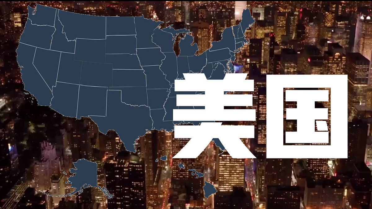 18153929第2页