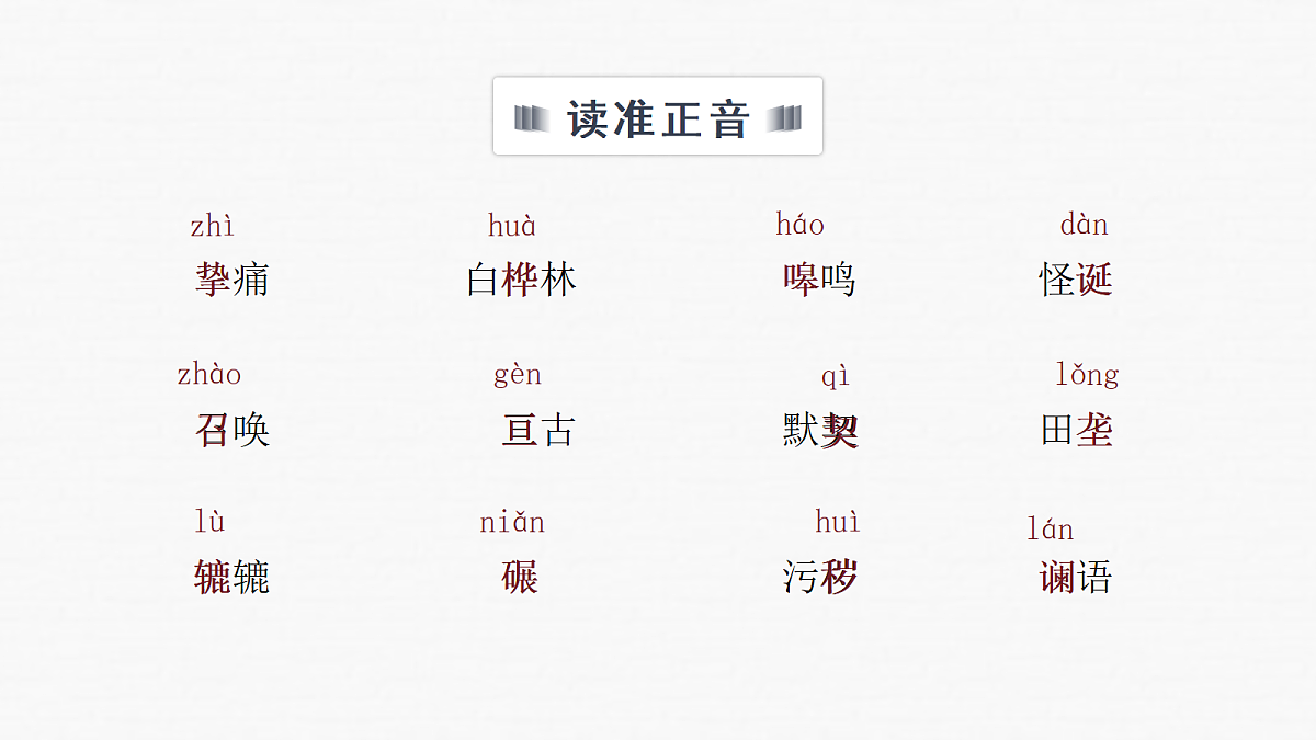18154004第5页
