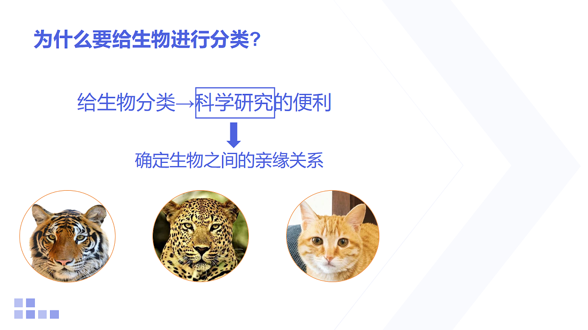 18154108第7页
