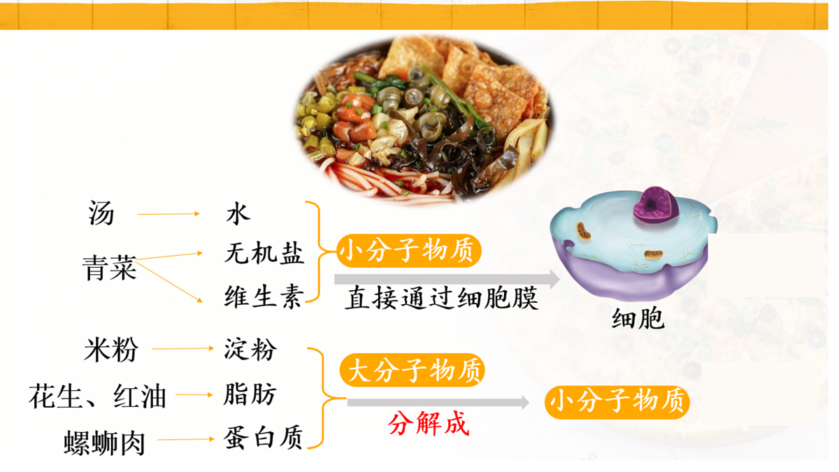 18154119第1页