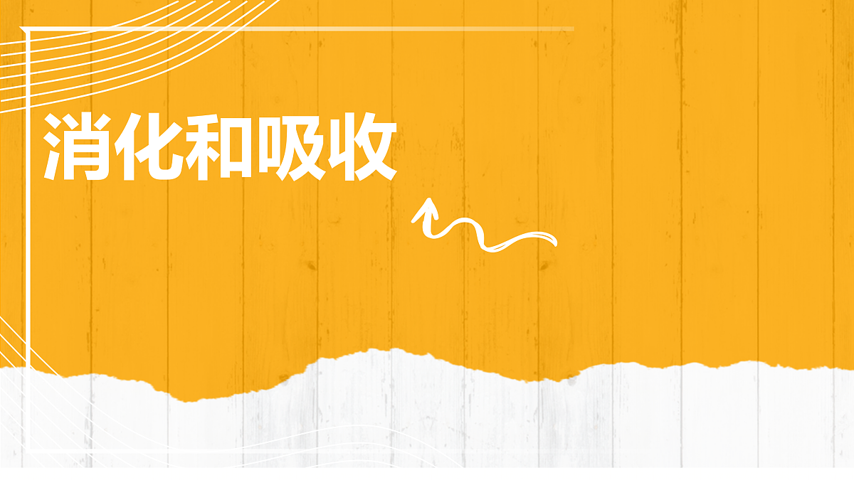 18154119第2页