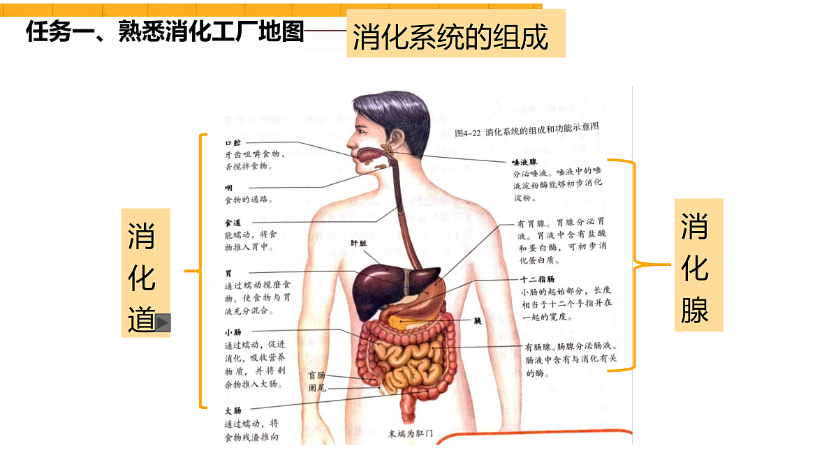 18154119第5页