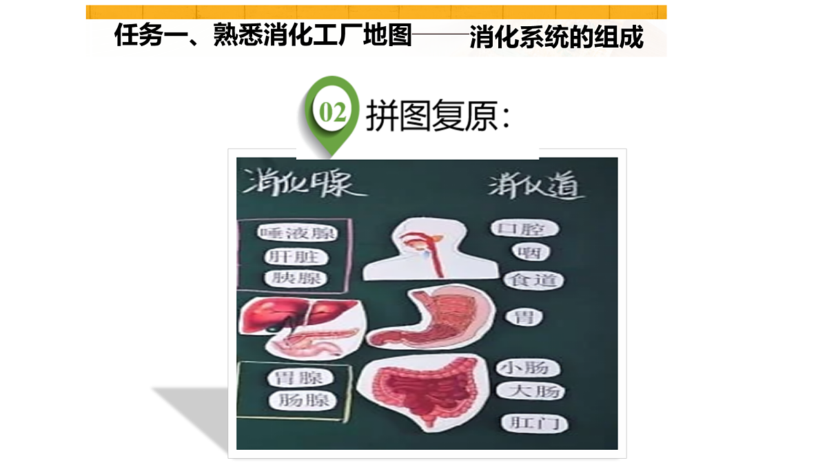 18154119第6页