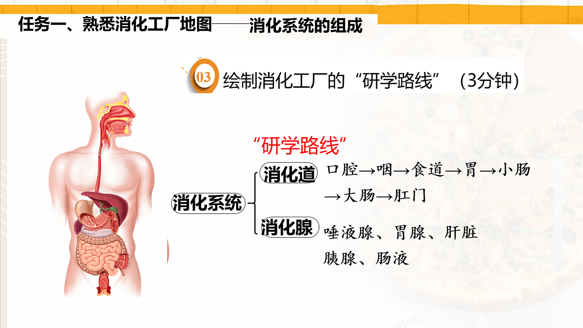 18154119第7页