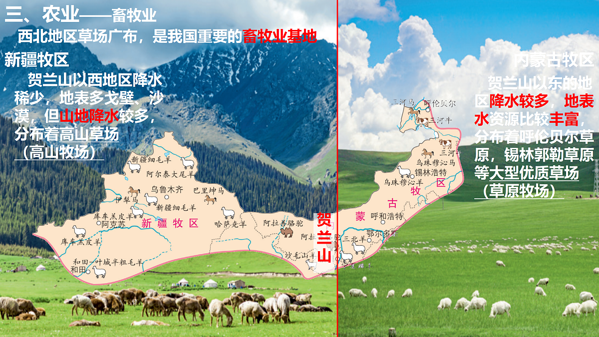 18154228第6页