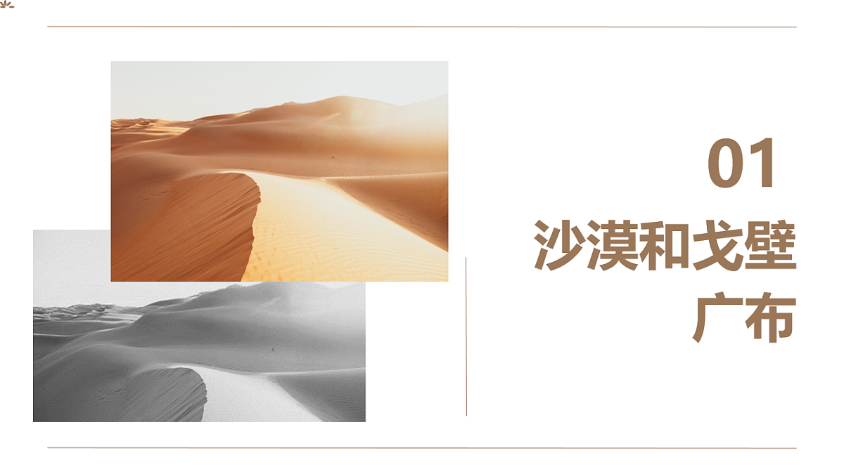 18154373第4页