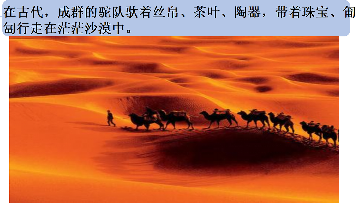 18154374第3页