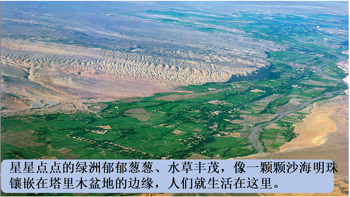 18154374第5页