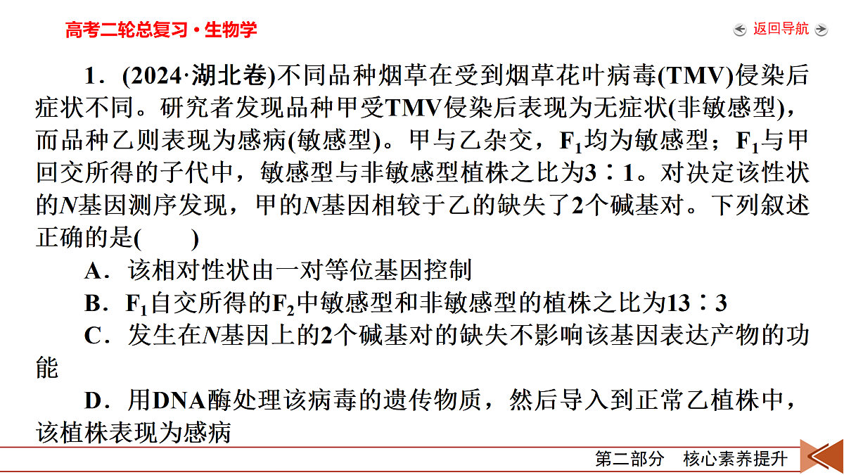 18154958第7页