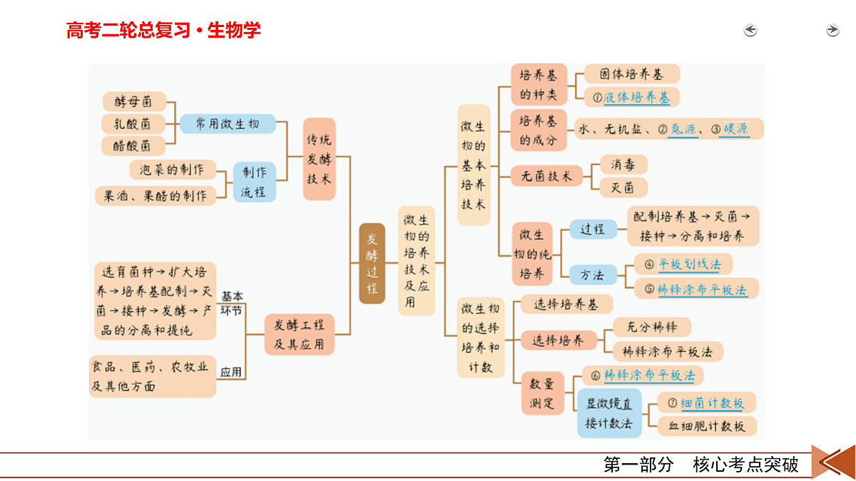 18154970第8页