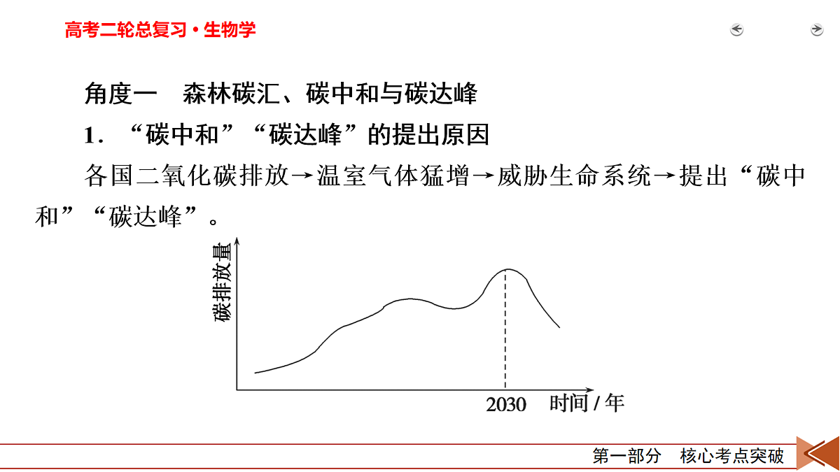 18154974第3页