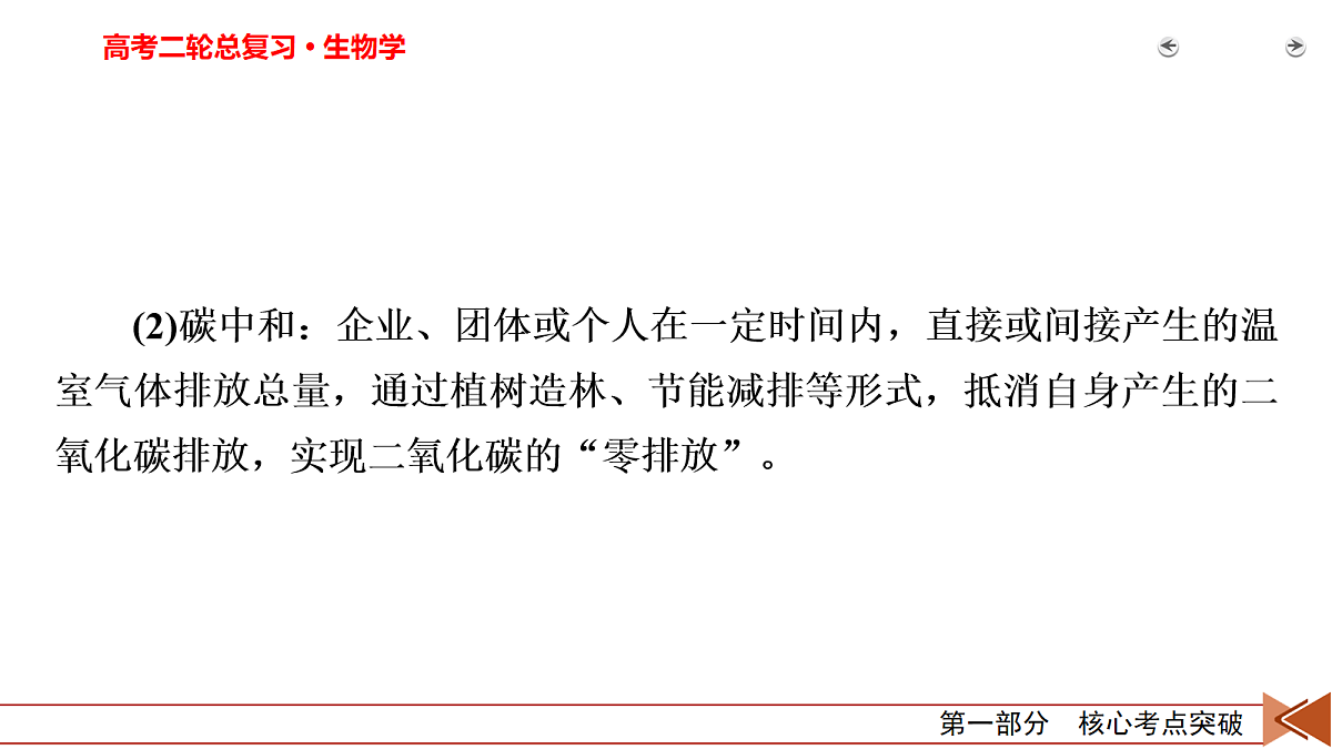 18154974第5页