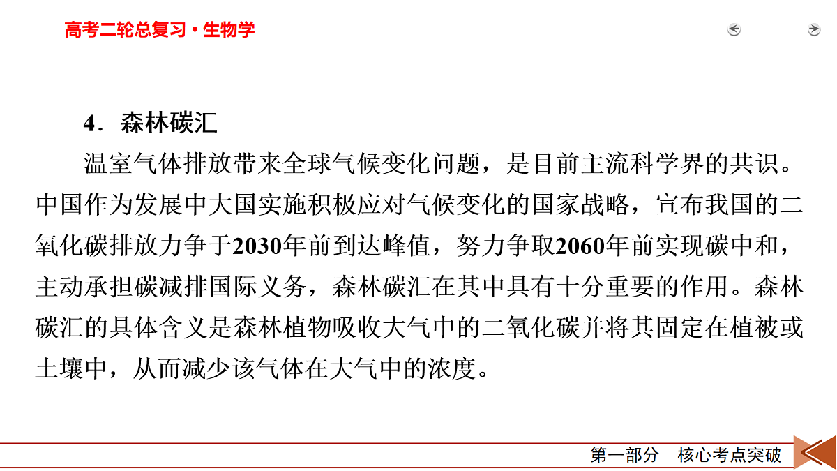 18154974第7页