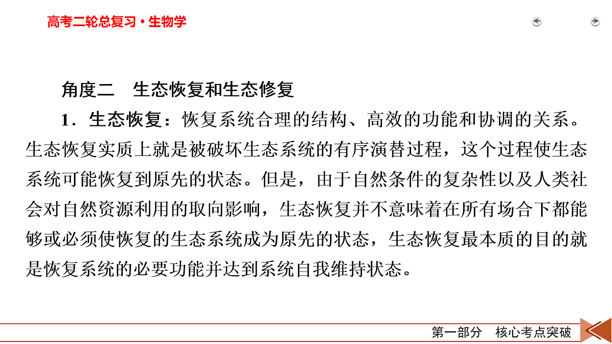 18154974第8页