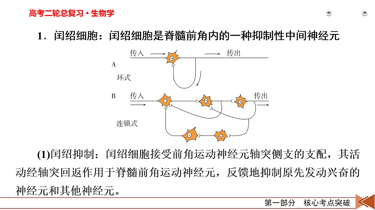 18154979第3页