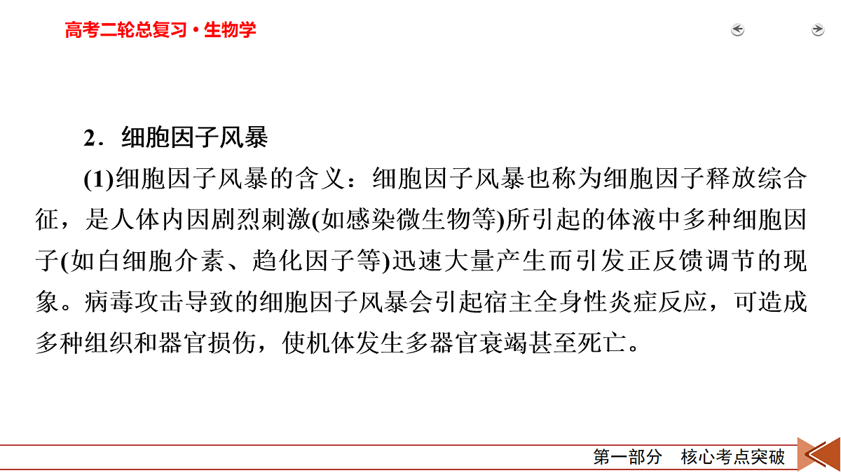 18154979第5页