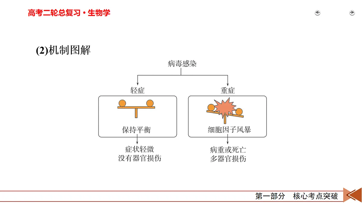 18154979第6页