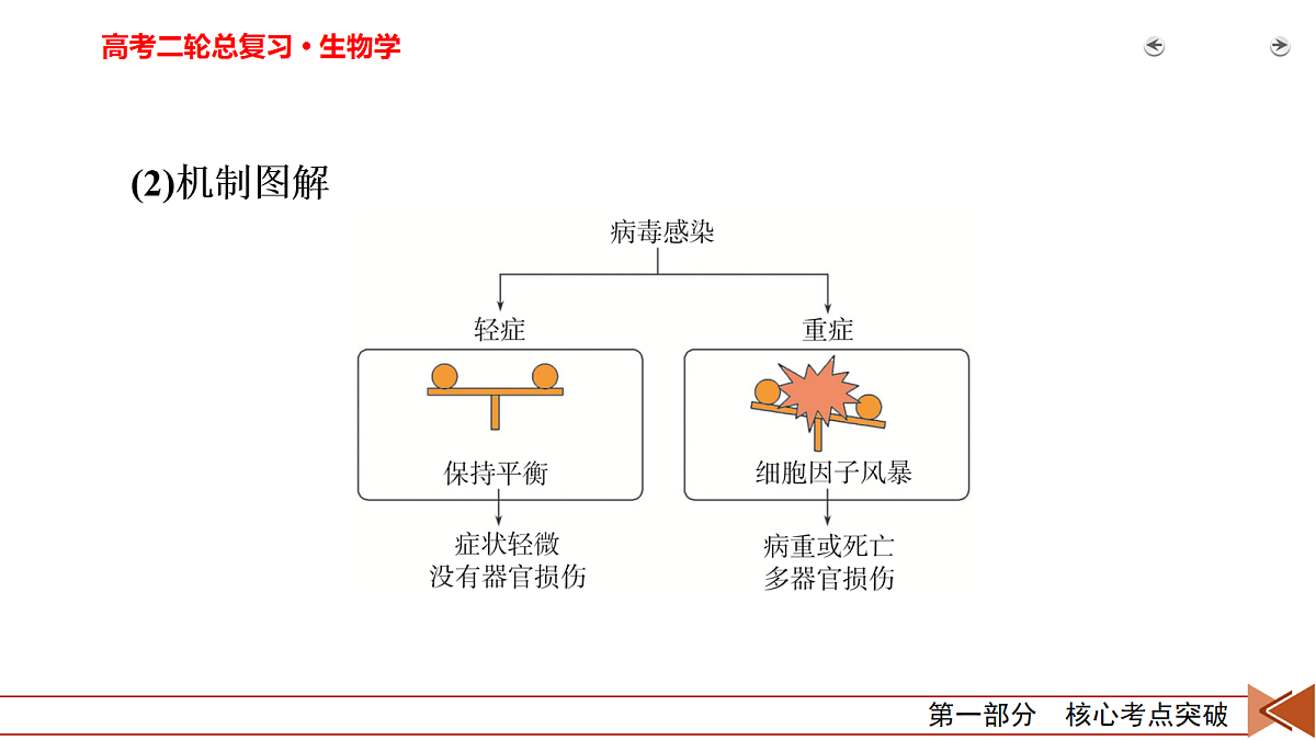 18154979第6页