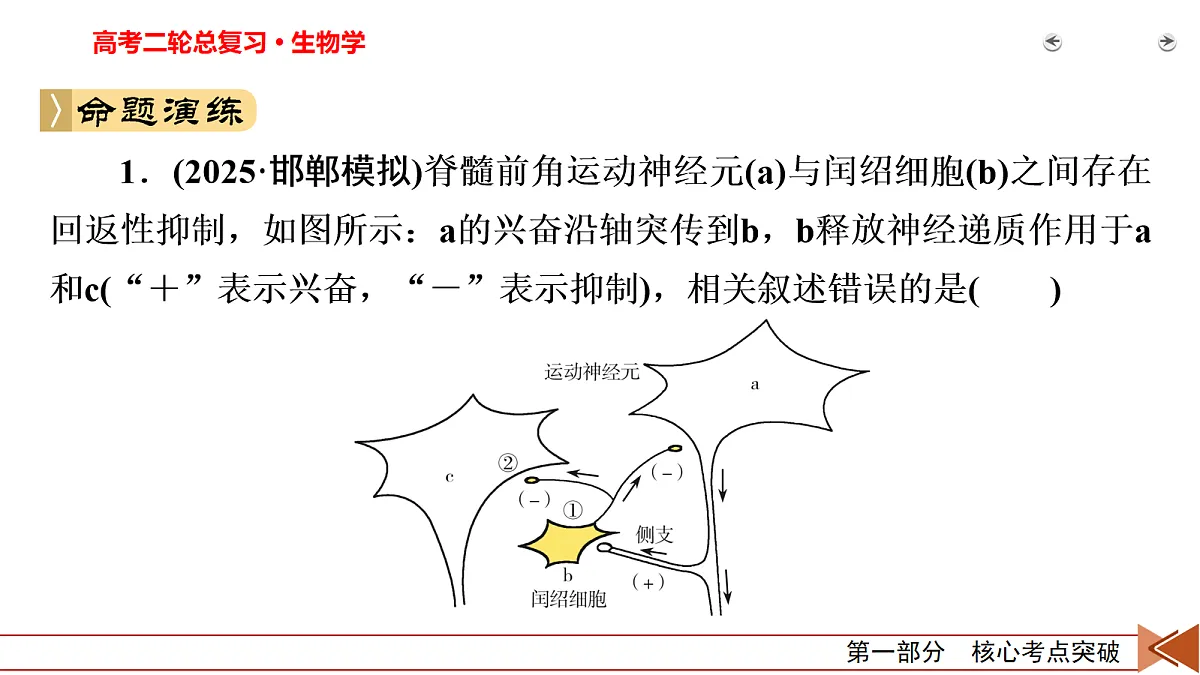 18154979第8页