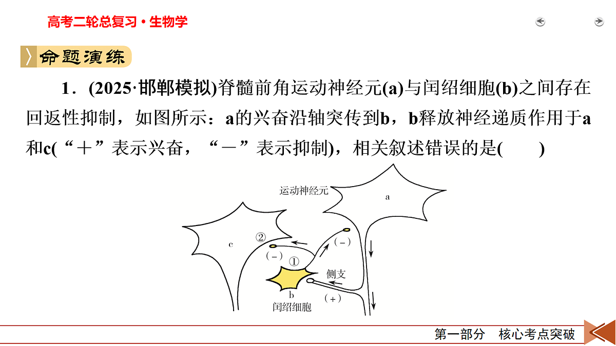18154979第8页