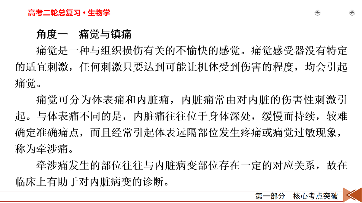 18154980第3页