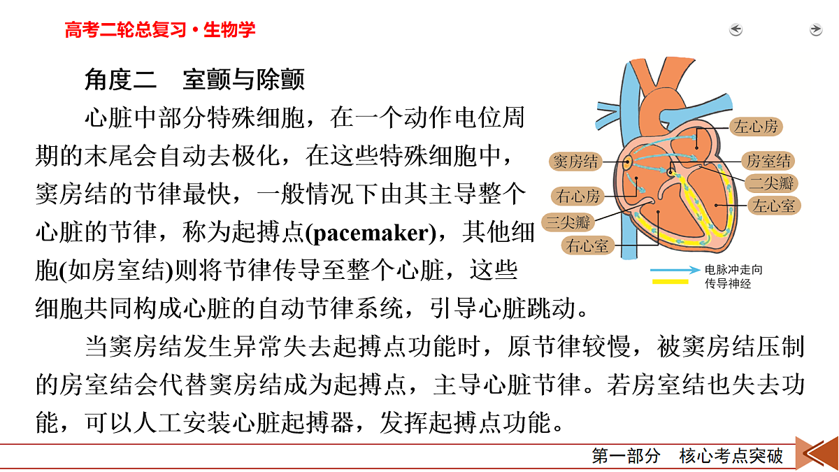 18154980第4页