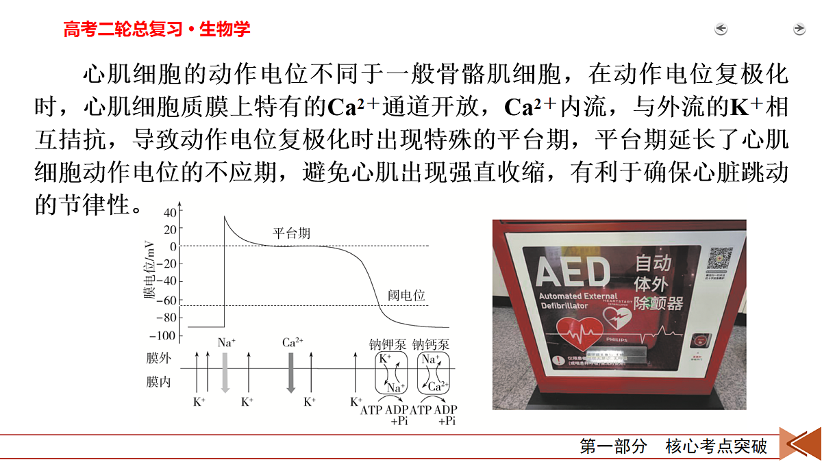 18154980第5页