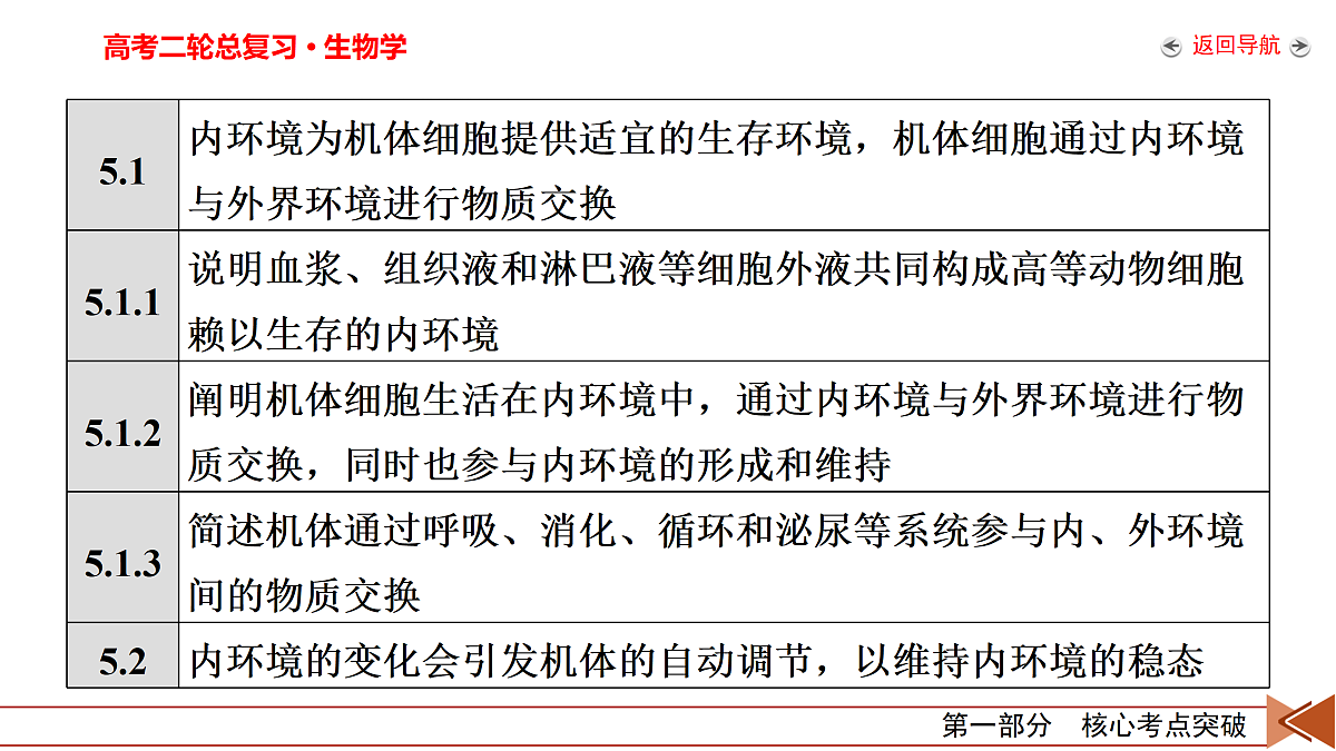 18154983第5页