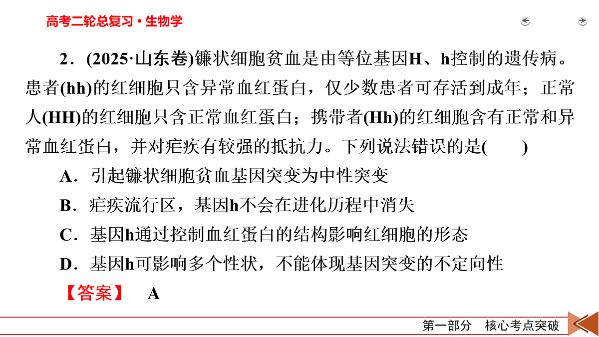18154984第5页