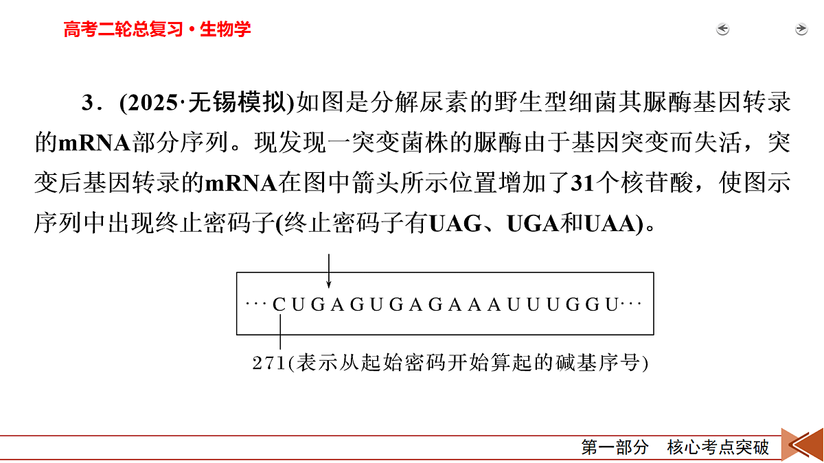 18154984第7页