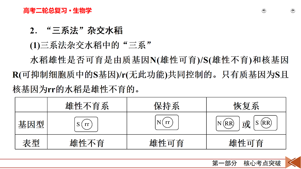 18154986第7页