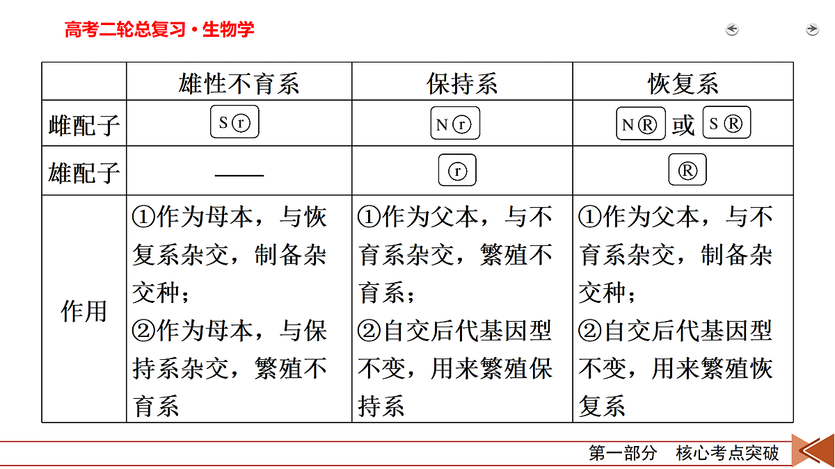 18154986第8页