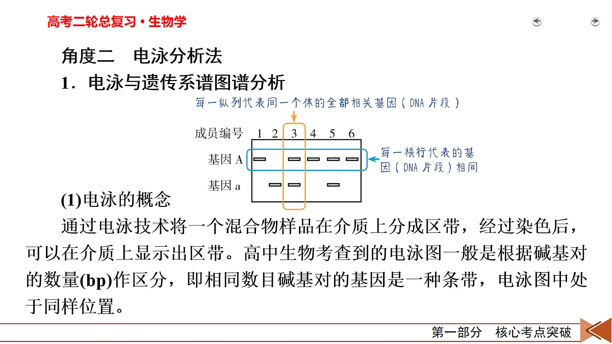 18155045第5页