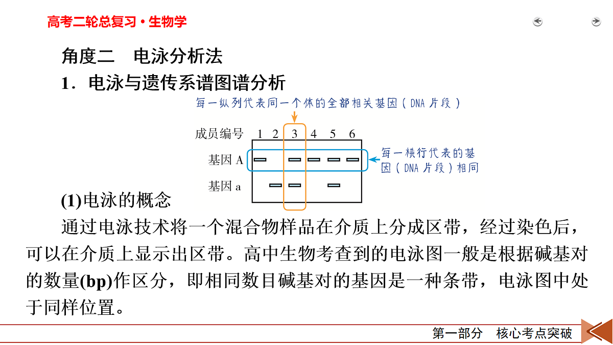18155045第5页