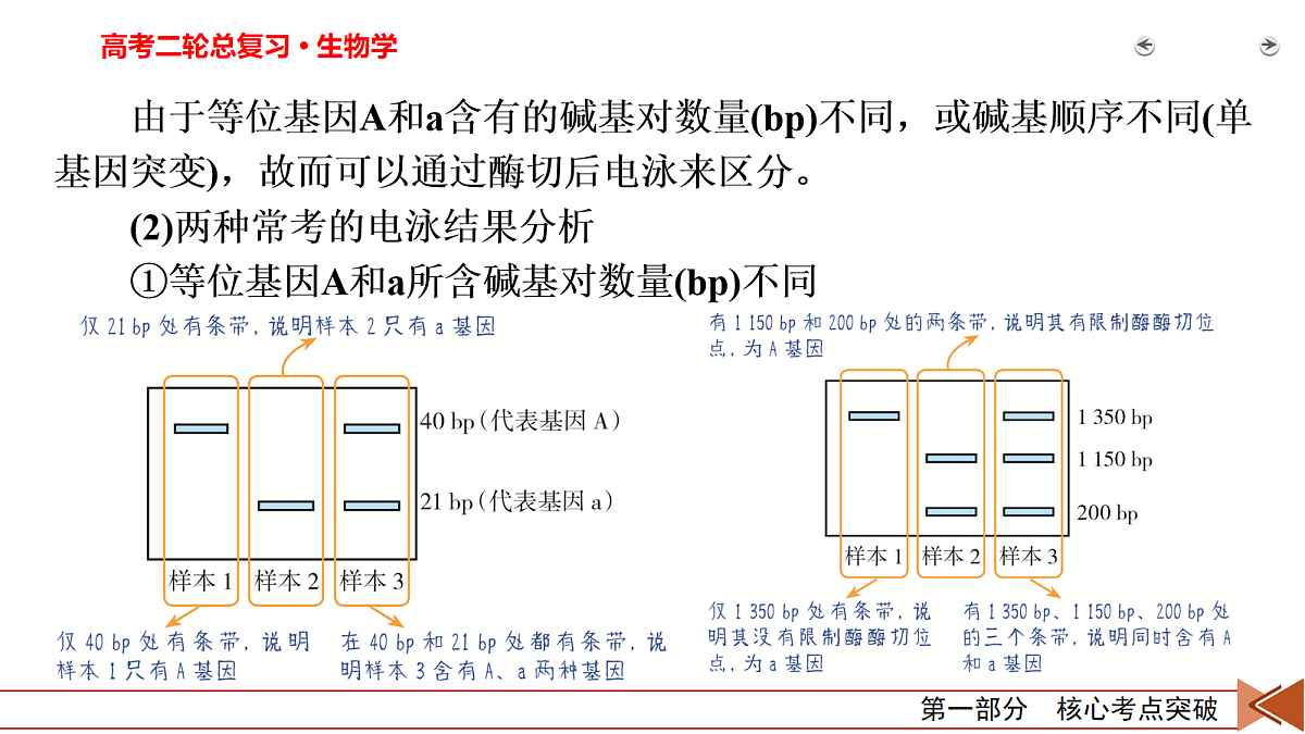 18155045第6页