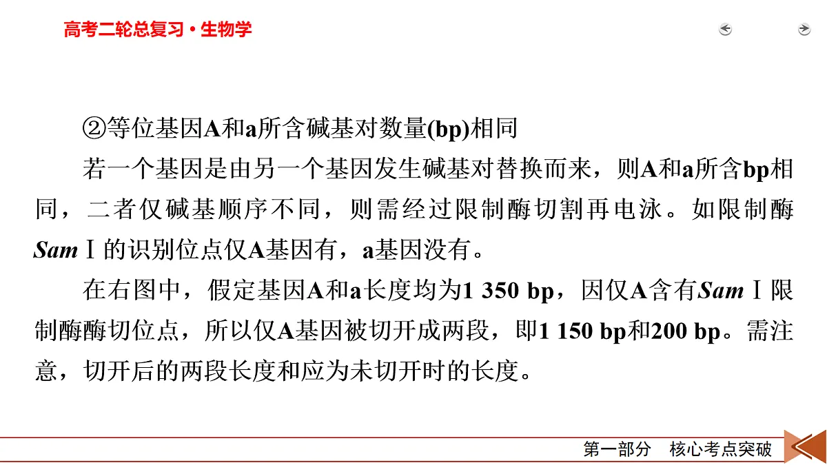 18155045第7页