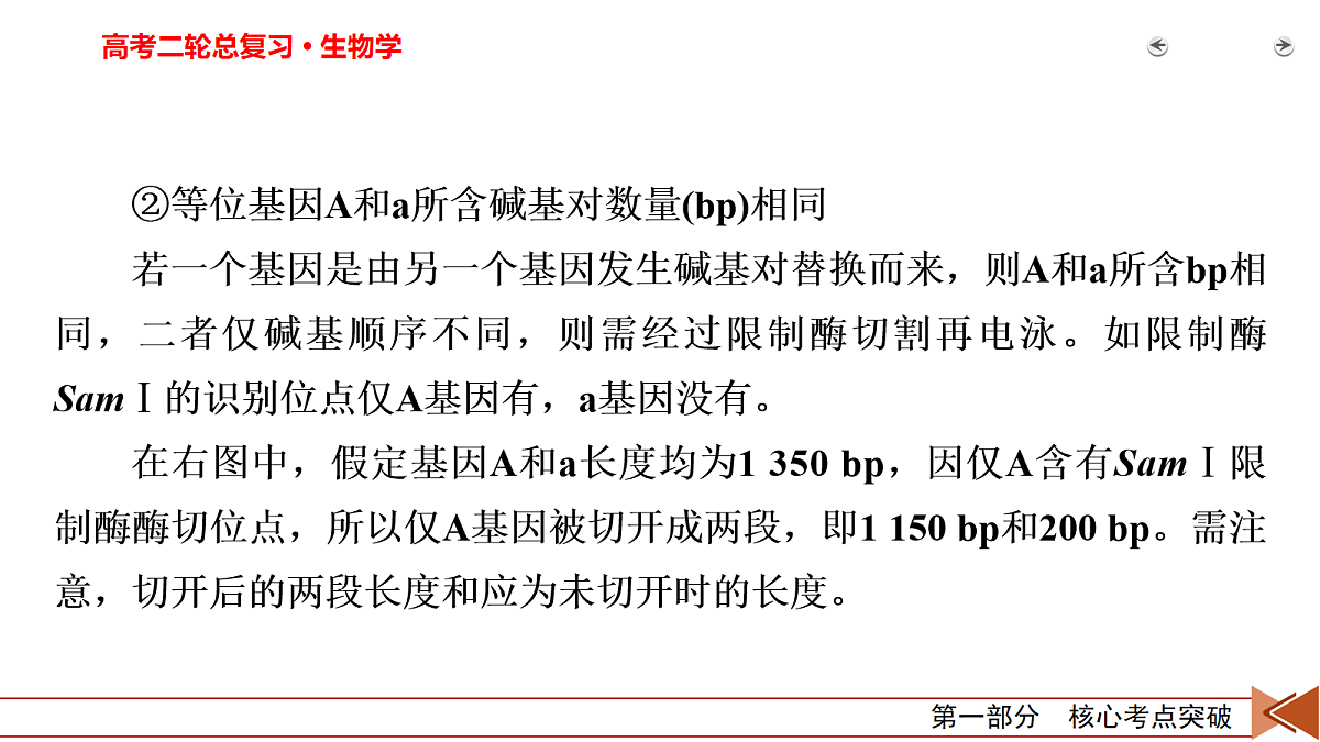 18155045第7页