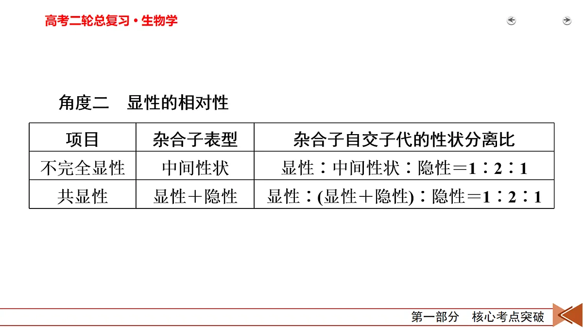 18155046第5页