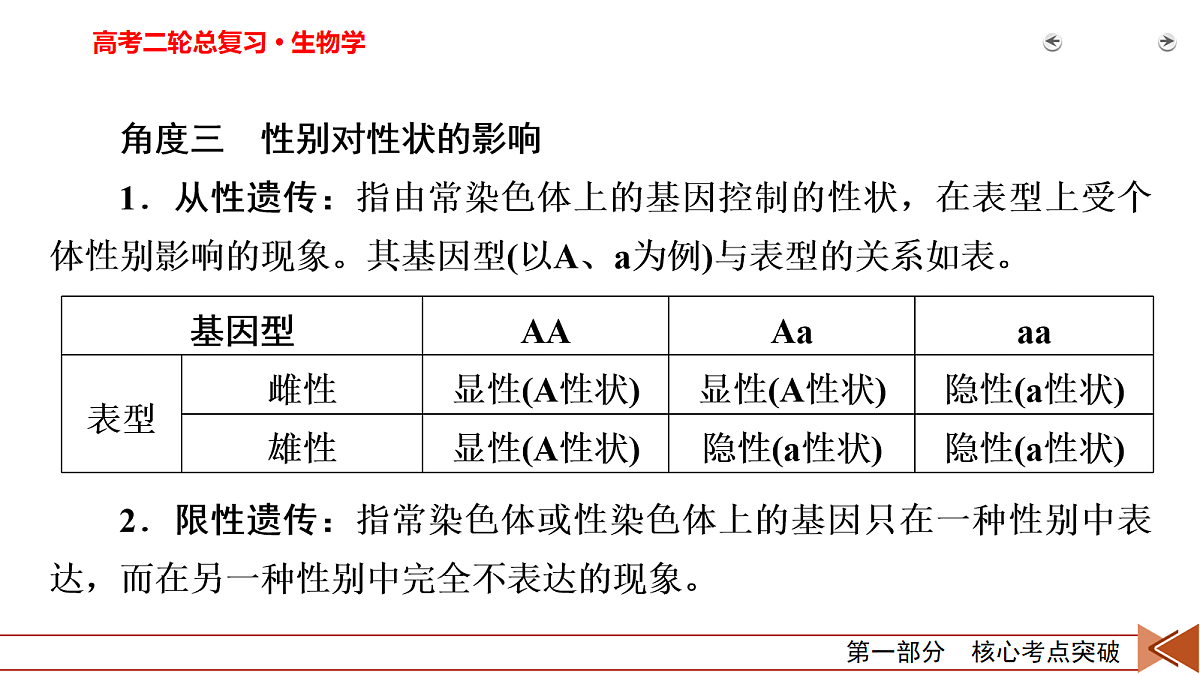 18155046第6页