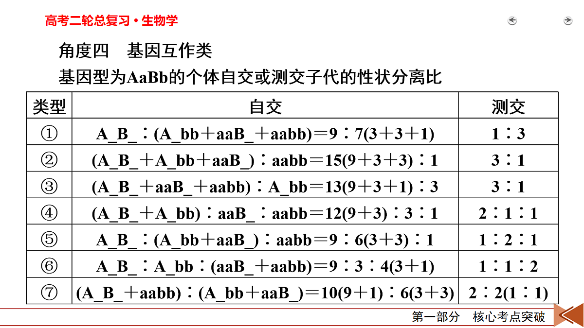 18155046第8页