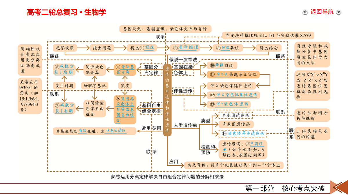 18155047第7页