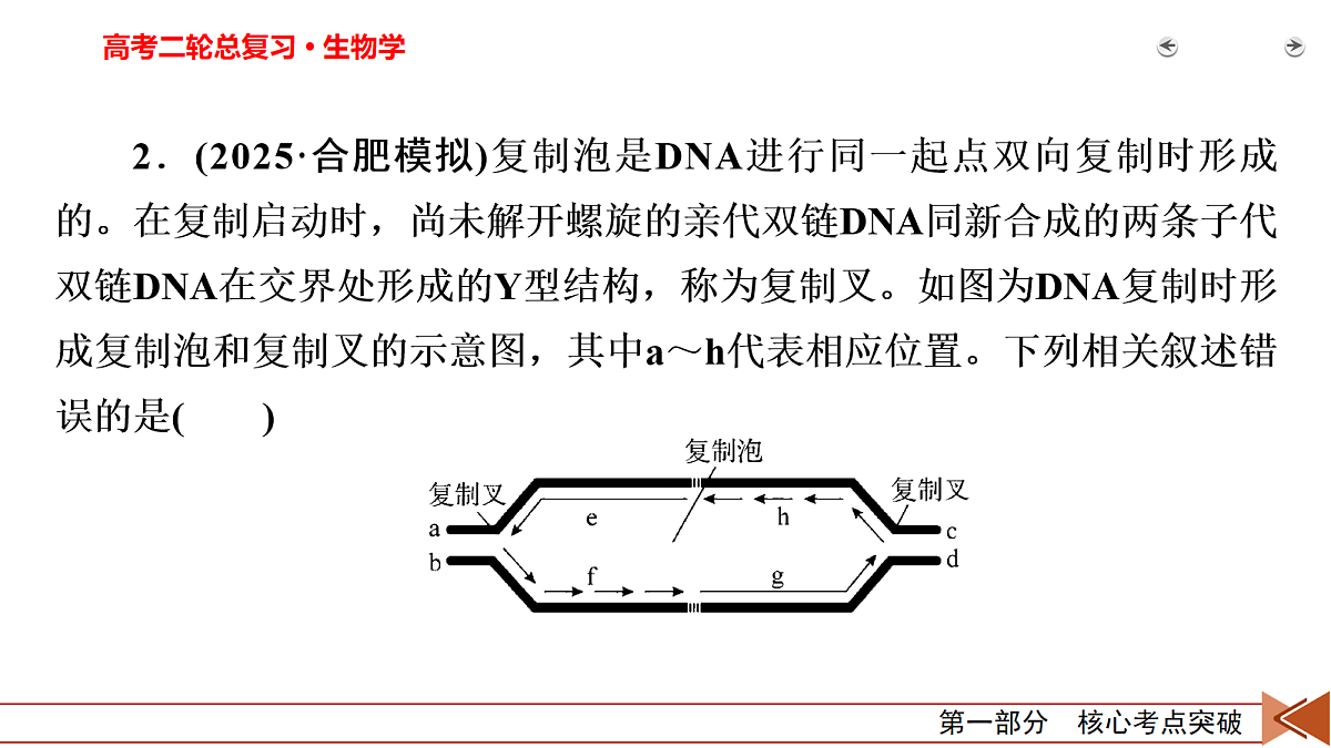 18155048第5页