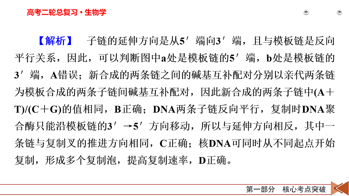 18155048第7页