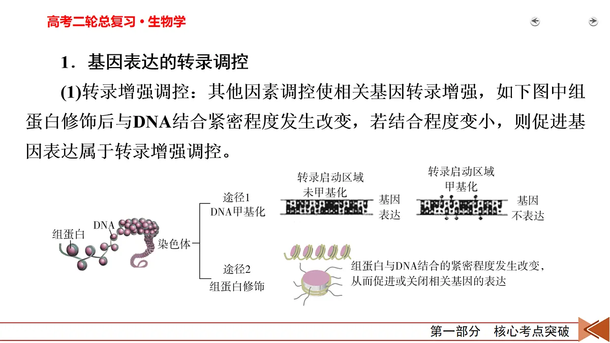 18155049第3页