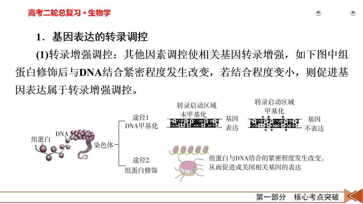 18155049第3页