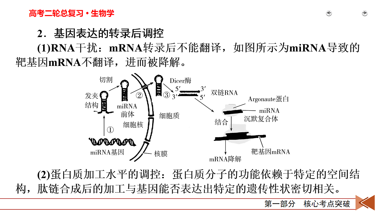 18155049第5页