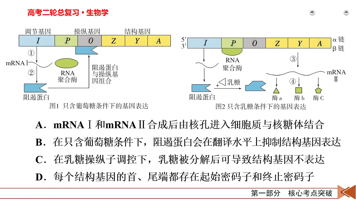 18155049第7页